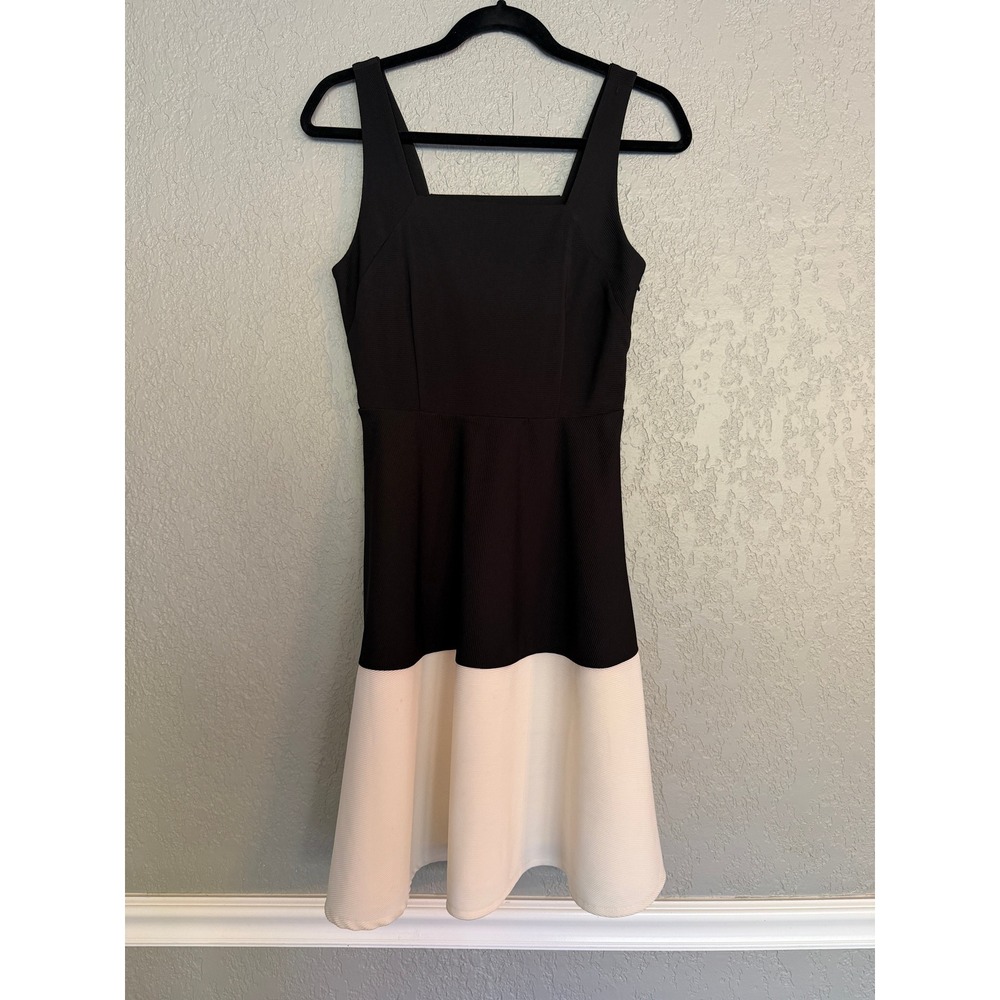 Worthington Black Ivory Colorblock Square Neck Sleeveless Fit Flare Dress Size 4